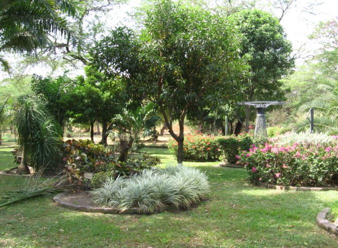 Jardín Botánico